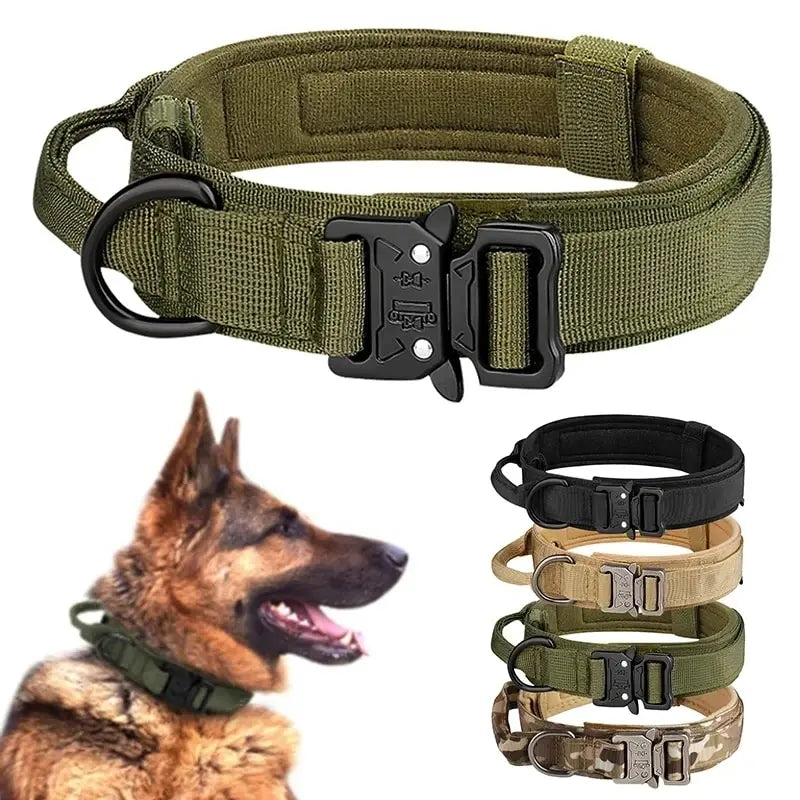 Heavy Duty Dog Collar