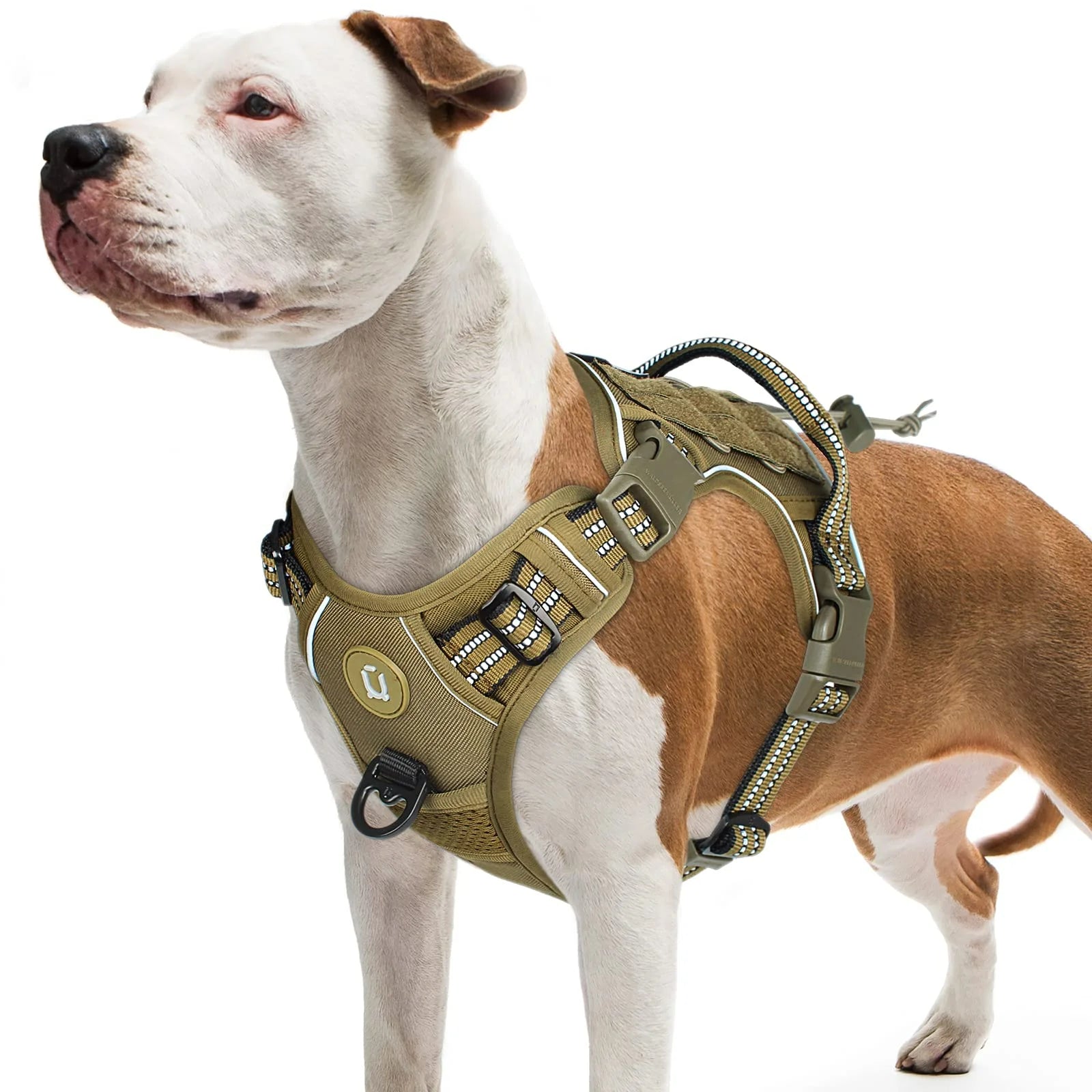 Adjustable Breathable Dog Harness